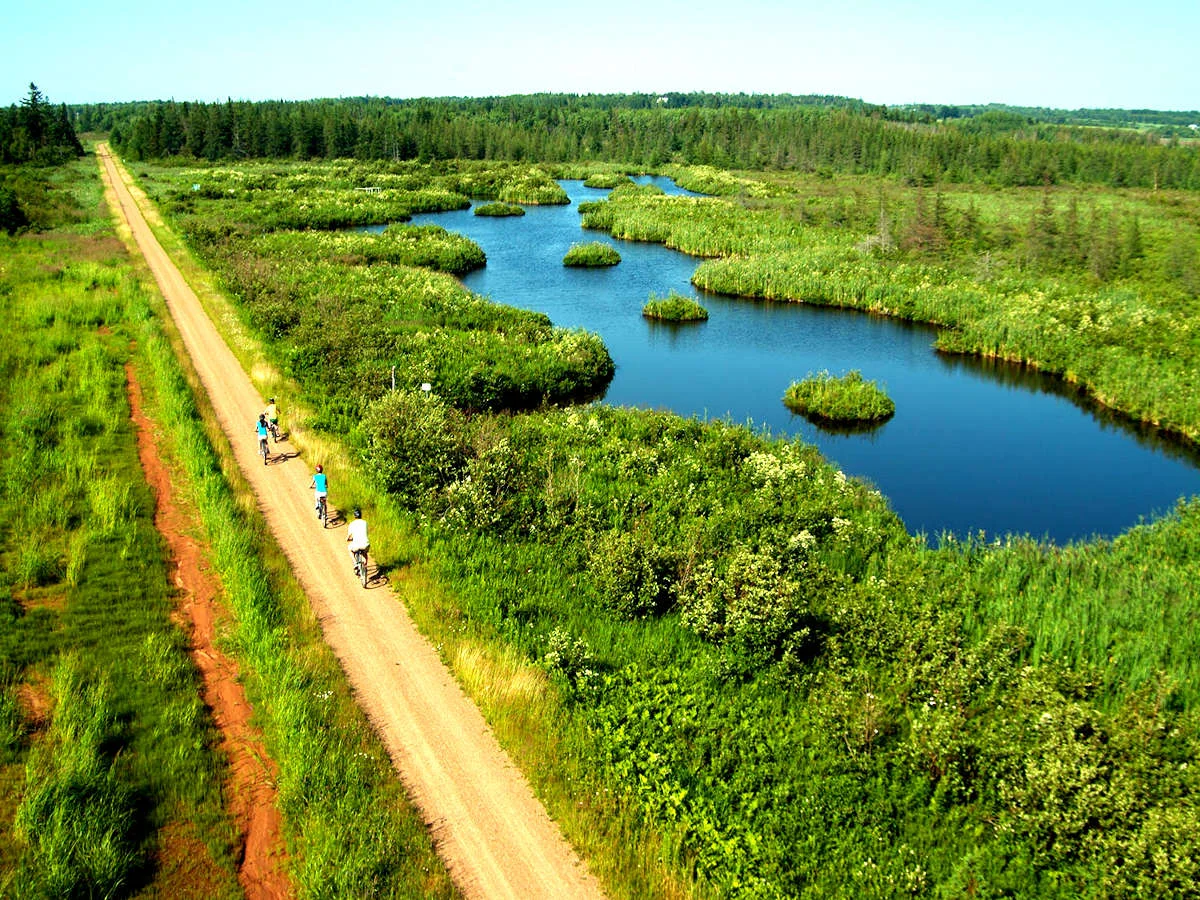 A trail beside the winding Hillsborough River and green wetlands