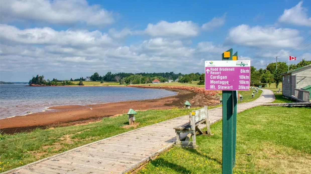 A beach access boardwalk beside the coast