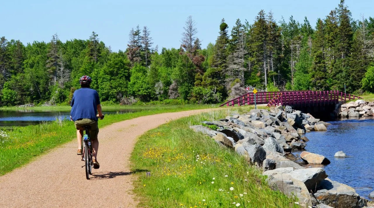 A cyclist following a garden-lined path