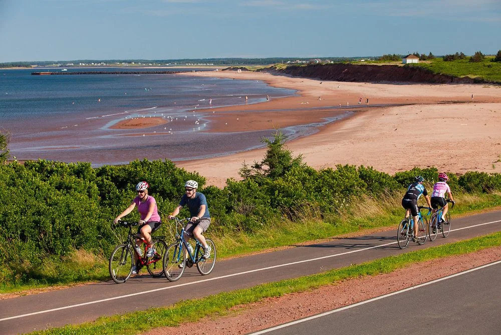Cyclists on a coastal path above a sandy beach