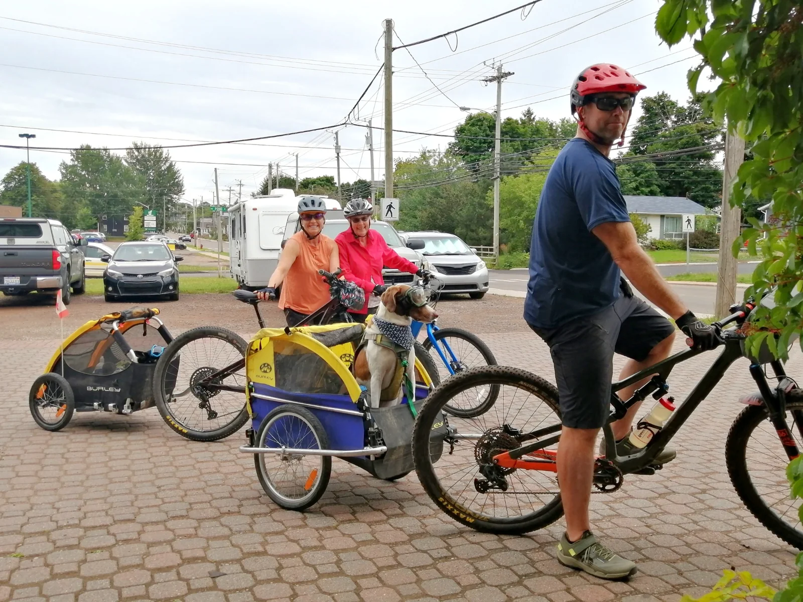 Cyclists and bicycle trailers on a town street