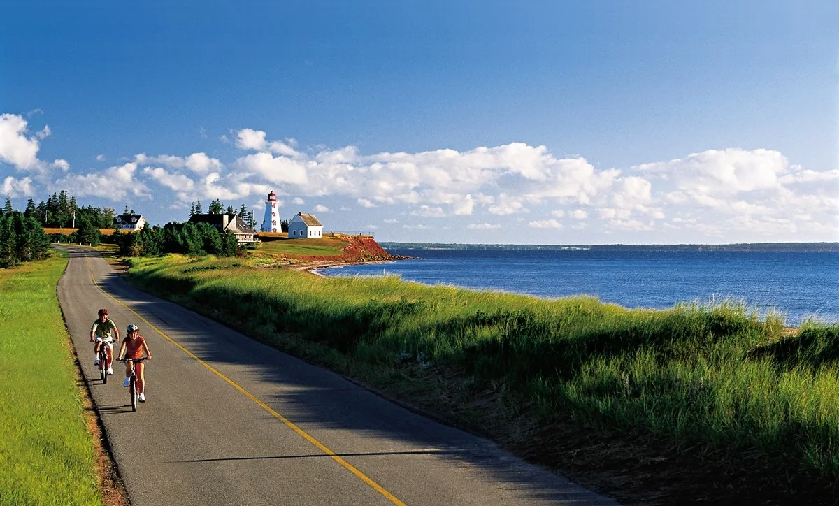 A cyclist following the red-cliff coastline