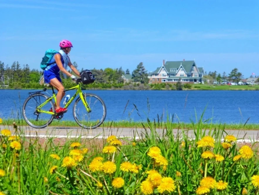 A cyclist beside a coastal bay
