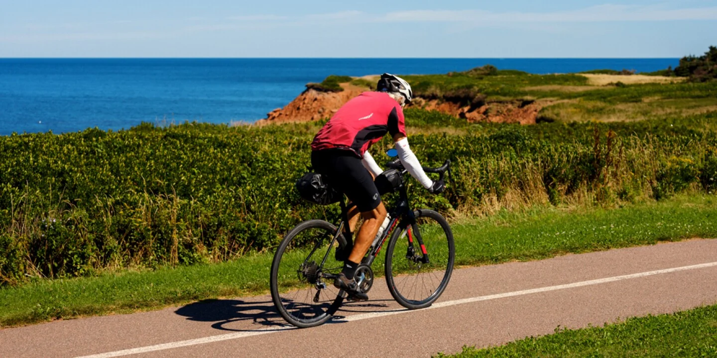 A cyclist overlooking red coastal cliffs
