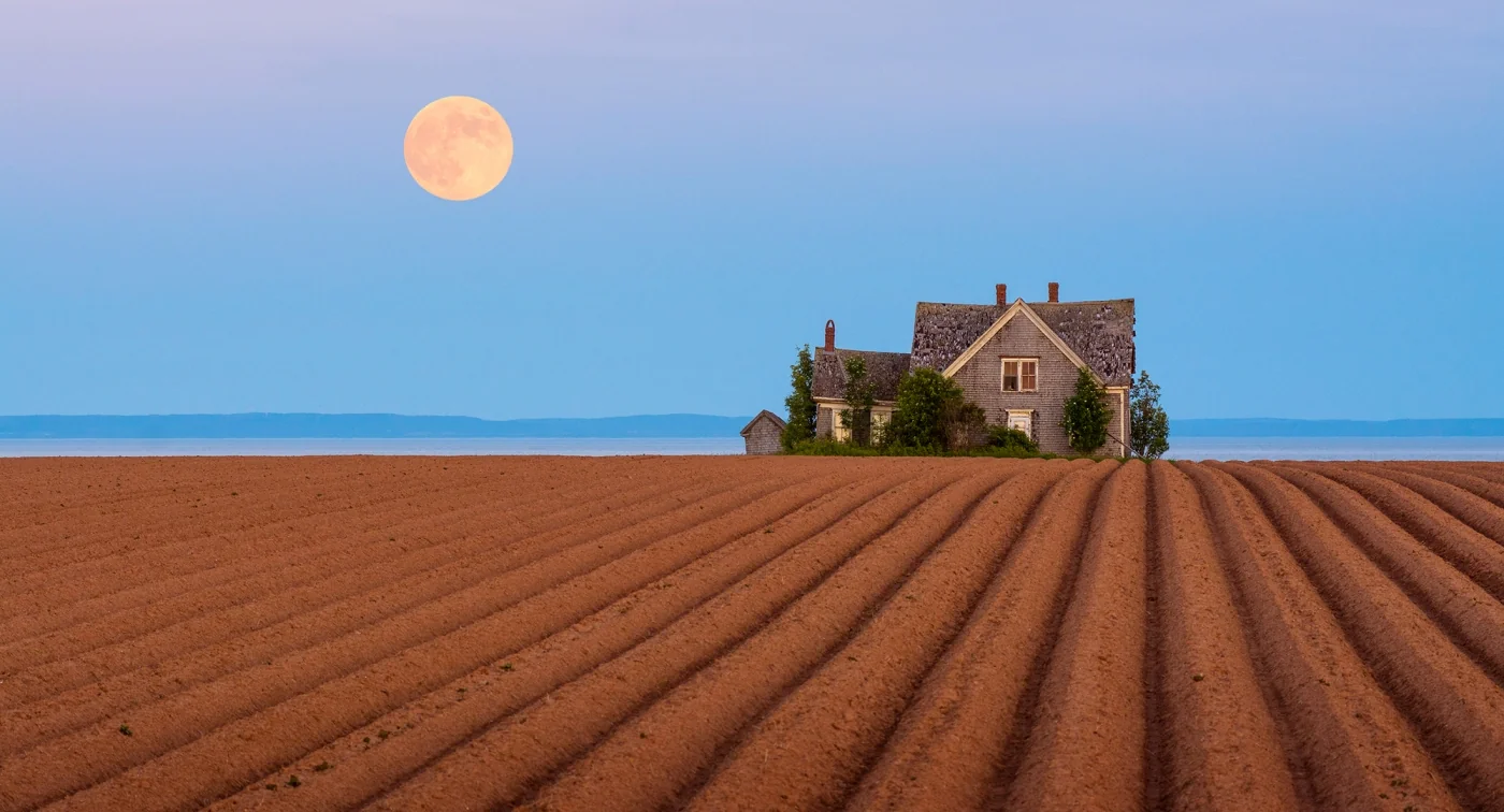 A stone house beside a field beneath the moon