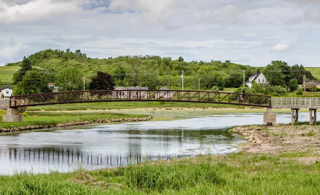 A wooden footbridge over calm water